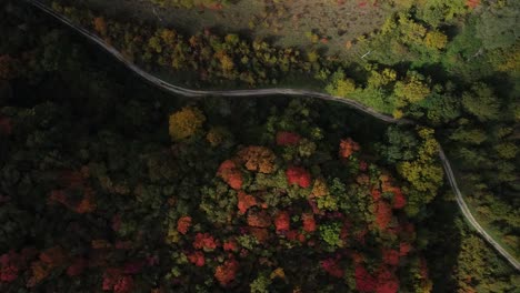 full hd aerial footage of a colourful autumn scene above a woods in italy