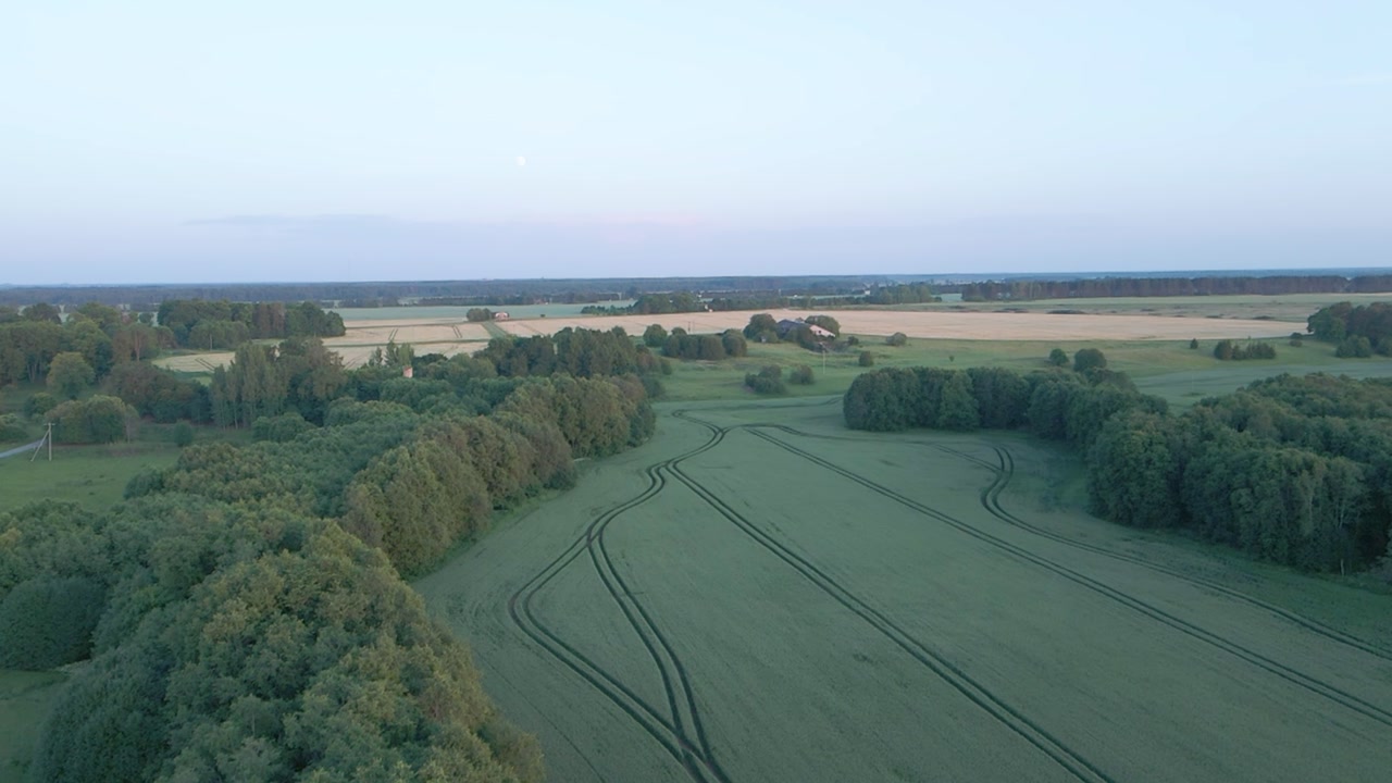 Drone Video Flying Over Green Field Toward Yellow Wheat Fields in Estonia