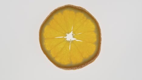 rotation of a thin transparent mandarin slice. citrus texture.