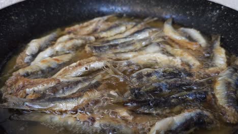 fillets of sardine fish are being fried in a hot pan with olive oil, a delicious meal from the mediterranean cuisine with seafood