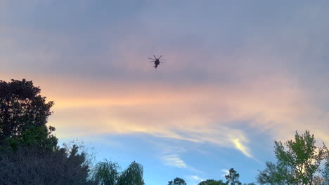 Armed-military-Apache-attack-helicopter-flying-overhead-above-trees-at-sunset,-US-Army