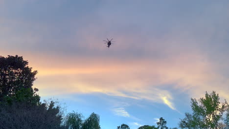 helicóptero de ataque apache militar armado que vuela por encima de los árboles al atardecer, el ejército de los estados unidos