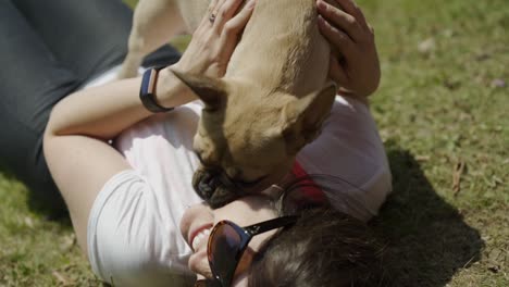 A-slow-motion-shot-of-an-attractive-Caucasian-woman-lying-on-grass-in-a-park-whilst-having-her-face-licked-by-her-cute-tan-coloured-French-Bulldog-puppy