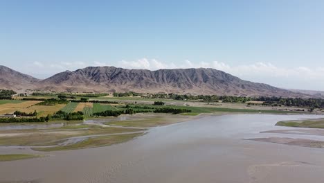 campo irlandés