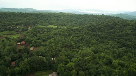 bosque de konkan hermoso disparo de avión no tripulado vista de pájaro