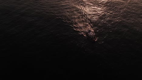 Aerial-overlooking-silhouetted-boat-travelling-on-quiet-shimmering-ocean-waves-tilt-up-to-sunset-skyline