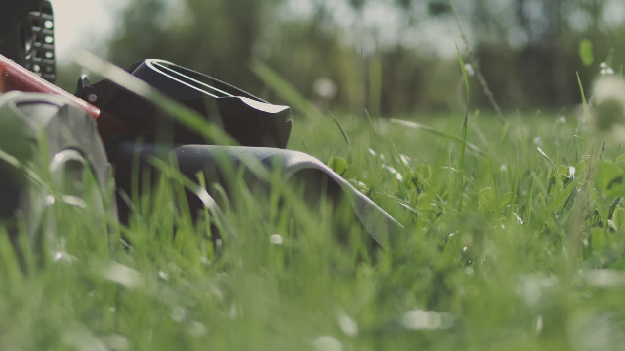 잔디를 는 잔디 기