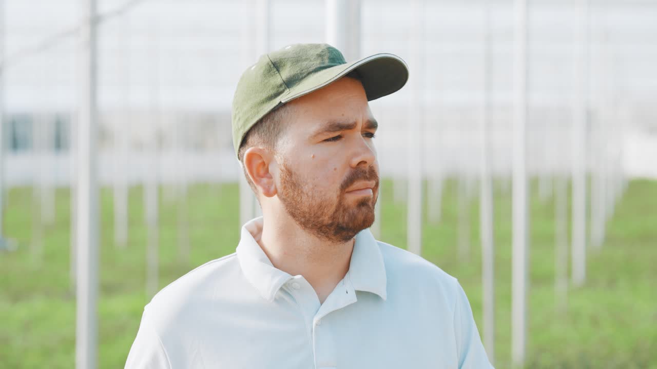 Farmer inspecting watermelon plants in greenhouse