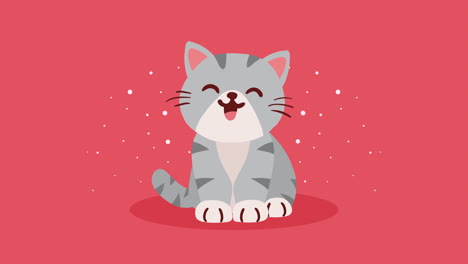 cute little gray cat mascot animation