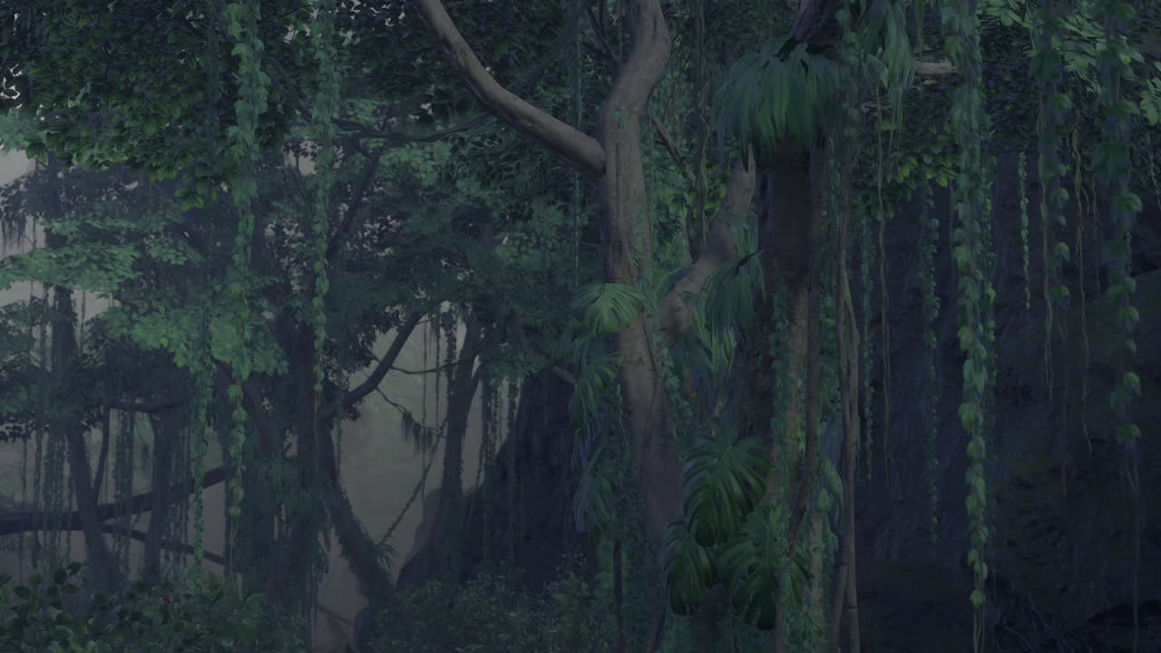 Lush green forest with dense trees and hanging vines in the early morning