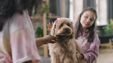 kids putting headband on maltipoo dog