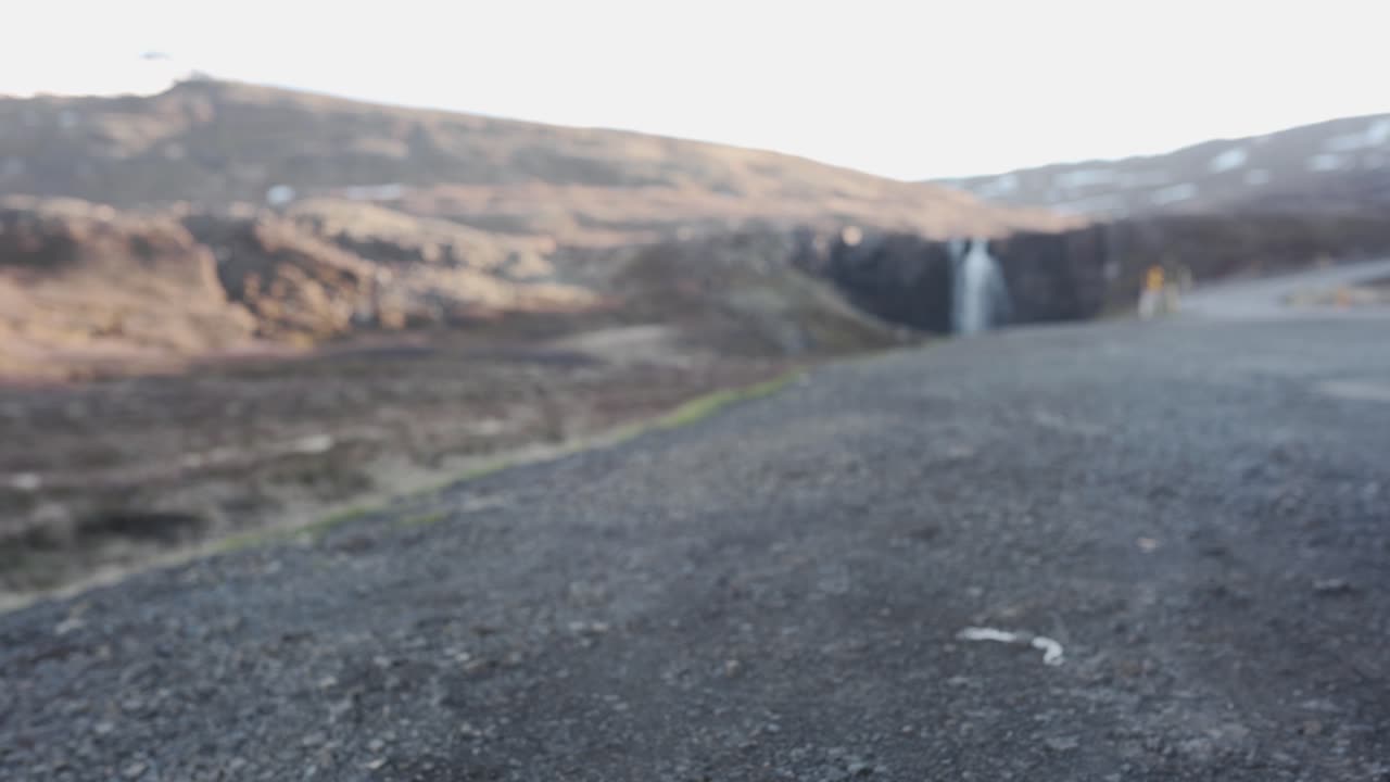 일회용 바비큐에 고기 버거와 비건 간장 버거를 보여줍니다.