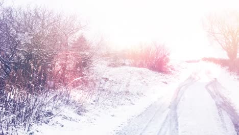 Animación-De-Nieve-Cayendo-Sobre-El-Paisaje-Invernal.