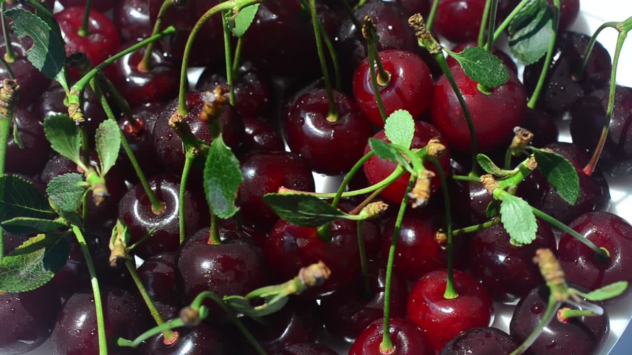 Ceri, direkam bergerak. Rekaman buah.
