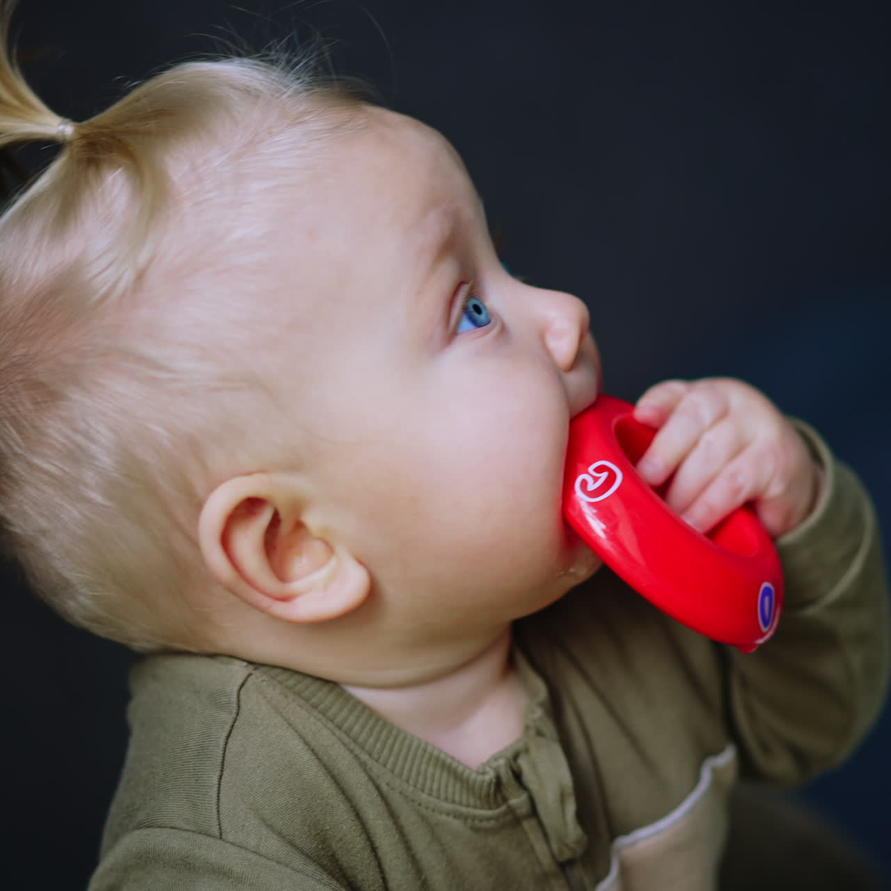 Beautiful baby with blond hair lies on his belly. Infant chews a red toy and lies down on his back. Close up