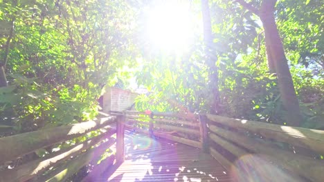 walking across a wooden bridge surrounded by lush jungle greenery