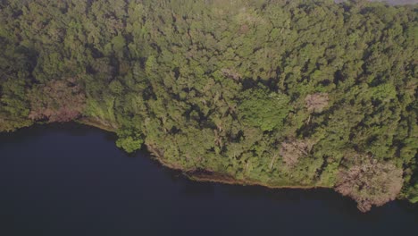lush rainforest surrounding lake barrine in atherton tableland, far north queensland, australia - aerial shot
