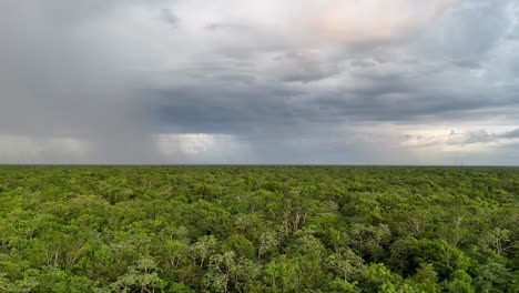 heavy storm over the dense jungle in yucatan mexico