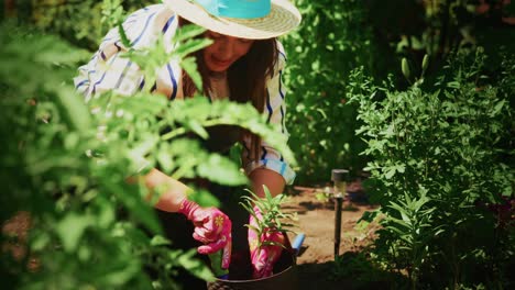 woman planting flowers in garden