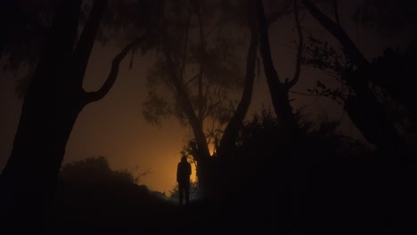 man with a torch walks from a forest towards the city searching for something in a foggy night