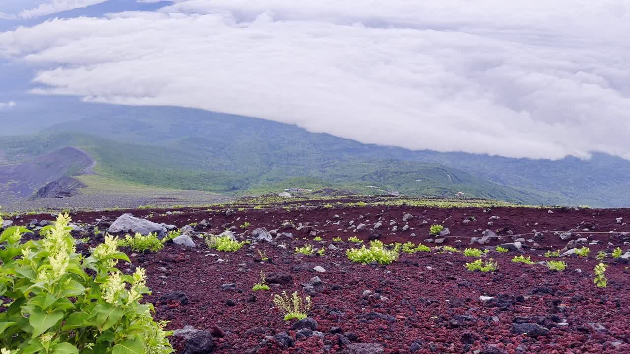 A thrilling trek up Mount Fuji takes you through diverse landscapes, from lush foothills to rocky slopes, ending with panoramic summit views
