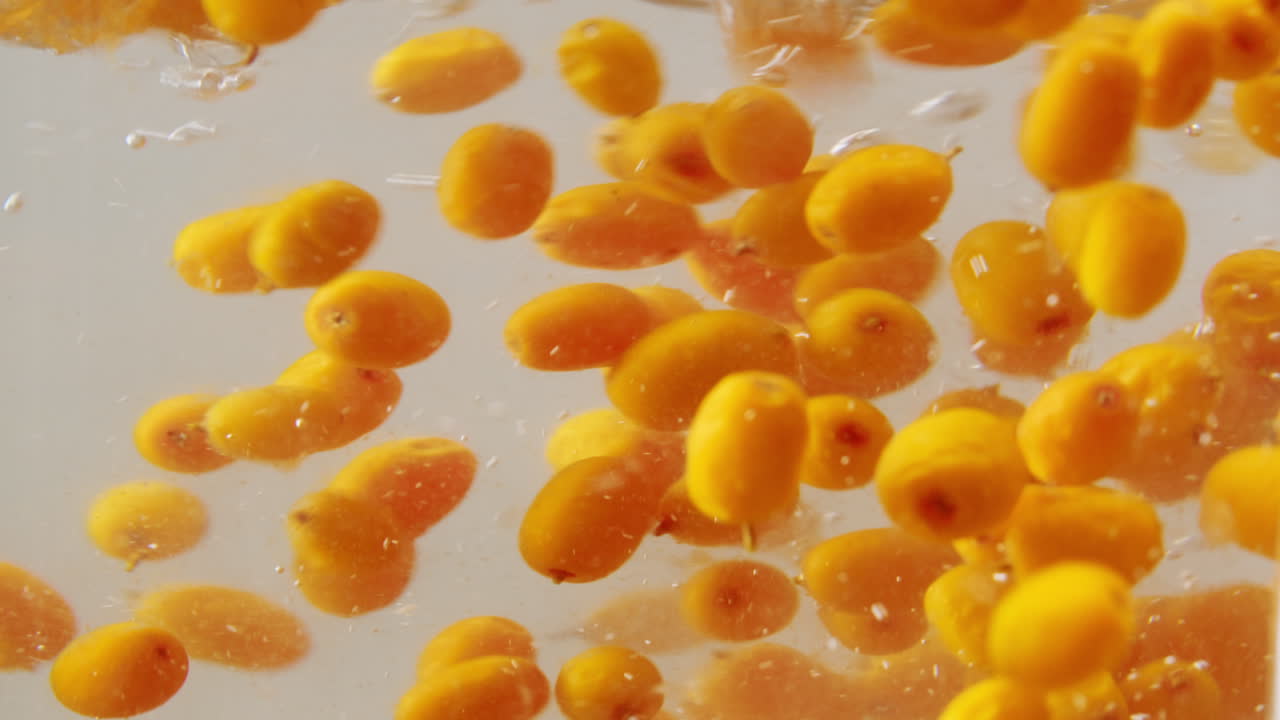 해바라기 건강한 베리 차 음료, 유리 항아리 및 잎을 가진 가지에 얼어붙은 익은 베리 어두운 나무 농촌 배경에  뷰, 피부, 심장, 혈관 및 면역 체계에 훌륭합니다.