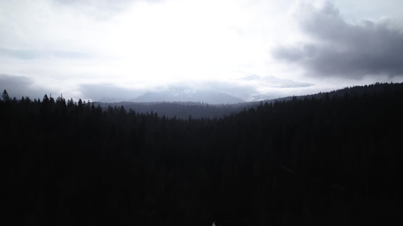 Aerial reveal of mountains behind a lake and pine forests on a cloudy day in Switzerland