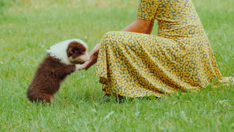 Unrecognizable-Woman-Playing-With-A-Puppy-Drenched-In-The-Rain