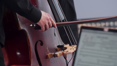 double bass performance