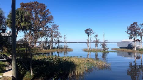 serene lake scenery with cypress trees and docks