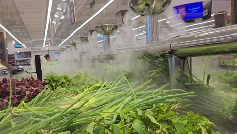 fresh herbs and green onions on display in a supermarket