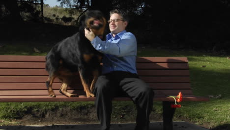 a dog jumps up onto the park bench so a man can pet him and rub him vigorously