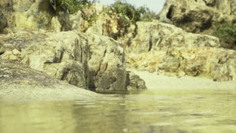serene coastal landscape with clear water reflecting rocky shore