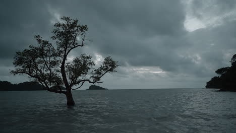 solitary tree in ocean waves, koh chang island, thailand, with dark clouds and distant horizon