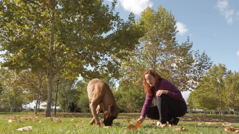 woman training her boxer dog in the park