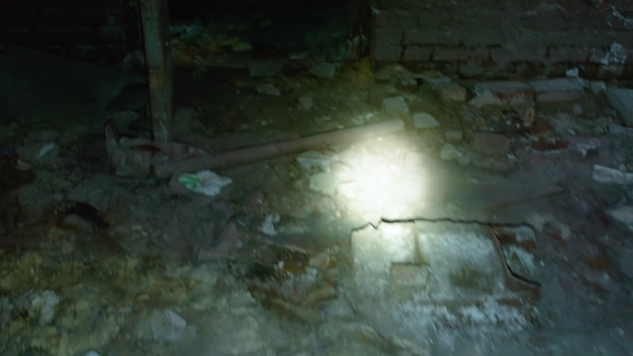 슈터가 좀비를 찾고 있습니다.