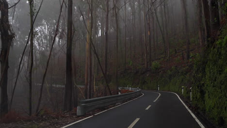 misty mountain road through forest