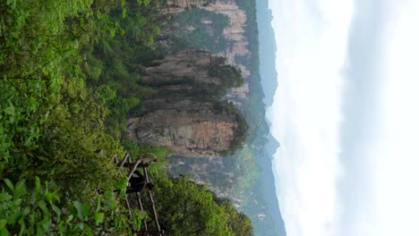 tourists in line to see a wild monkey near a towering sandstone pillar in huangshi village, zhangjiajie. vertical