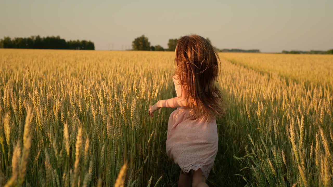 A girl runs through a golden wheat field at sunset.