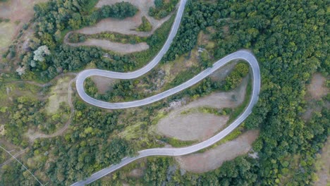 toma de un dron de un camino rural en la naturaleza