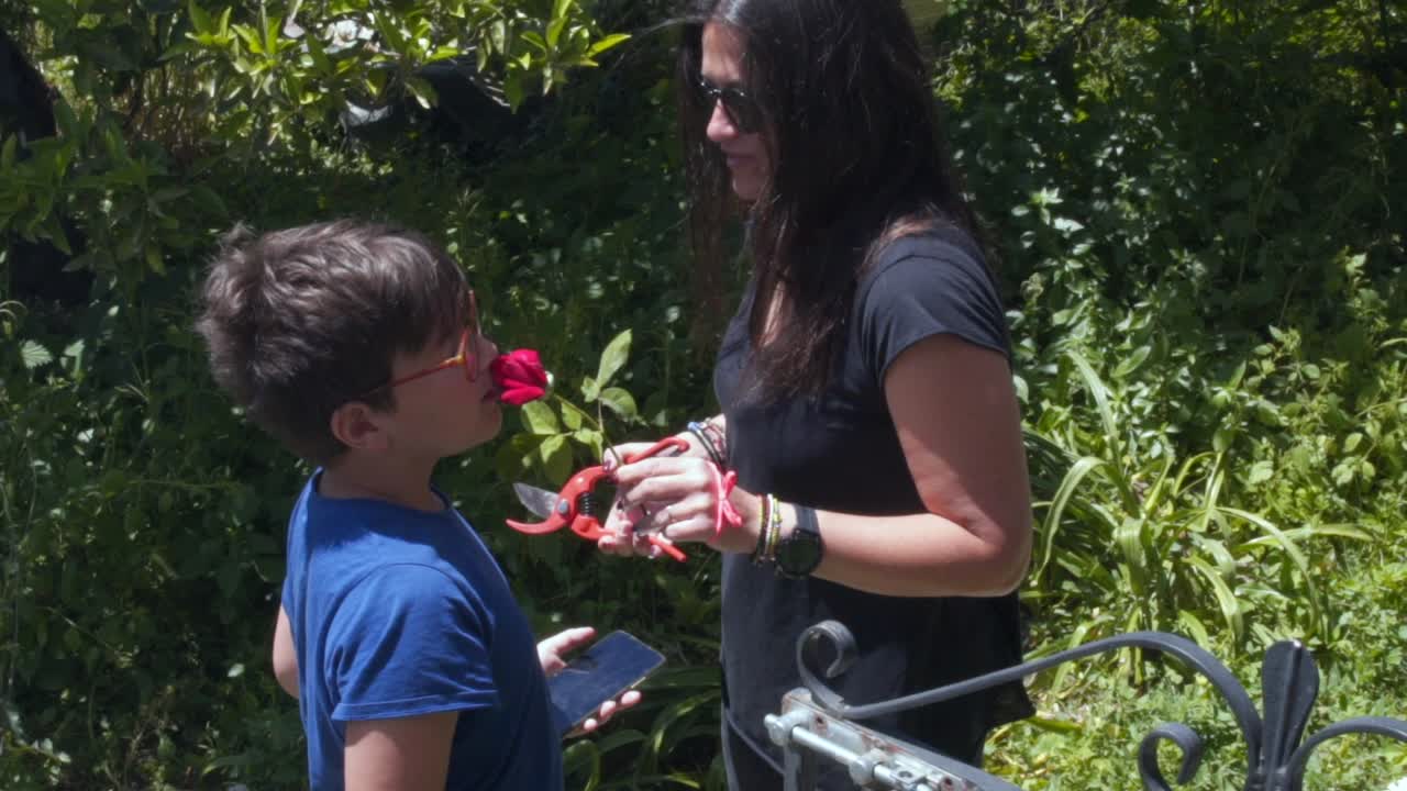madre griega caucásica ofrece una rosa roja cortada fresca a su hijo, sosteniendo tijeras de jardín en su mano, cámara lenta 100 fps estática disparo medio