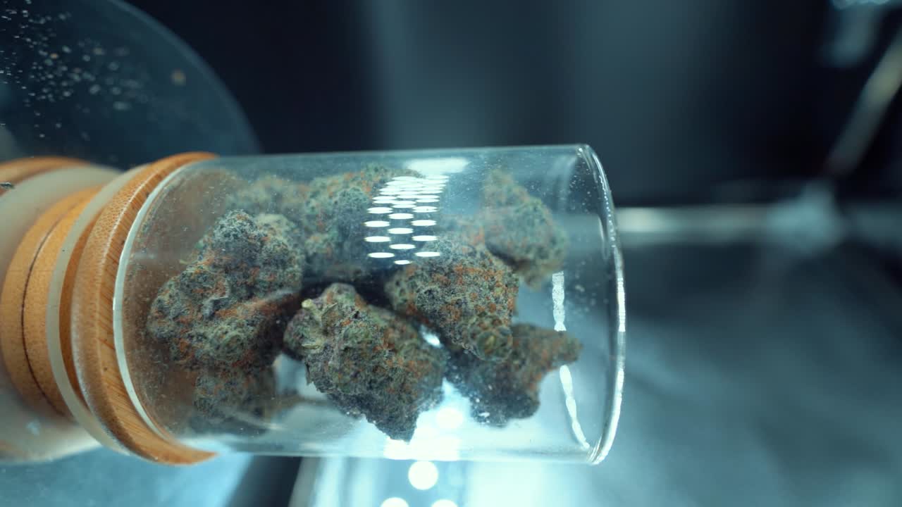 A vertical close up detailed smooth crane movement rotating shot of a cannabis plant, hybrid orange strains, Indica type, green marijuana flower, slow motion 120 fps, studio LED lights, clear glass