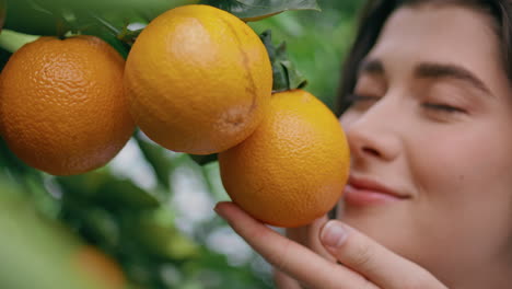 farmer hand touching tangerines at garden close up. woman smelling citrus fruits