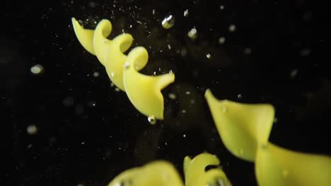 fusilli pasta falling into water.