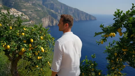 Man overlooking a coastal landscape with lemon trees
