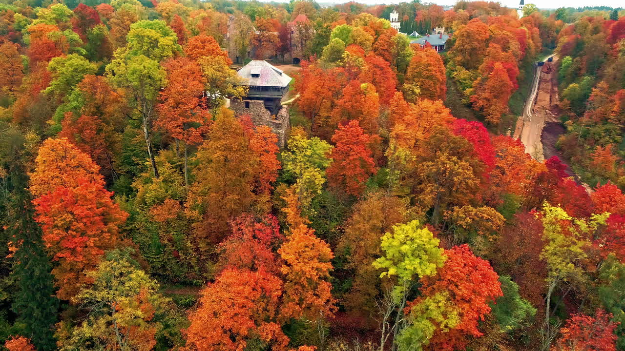 disparo aéreo de drones rodeado de coloridos árboles amarillos, naranjas y verdes en bosques otoñales con vistas a un antiguo edificio medieval en un día nublado