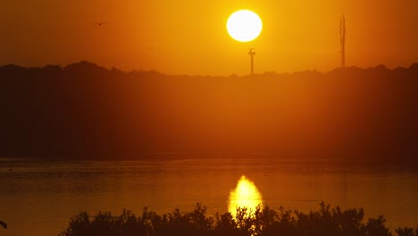 video of sunset and silhouettes of birds flying