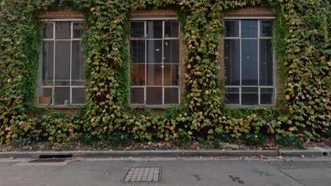 ivy-covered building with large windows in melbourne