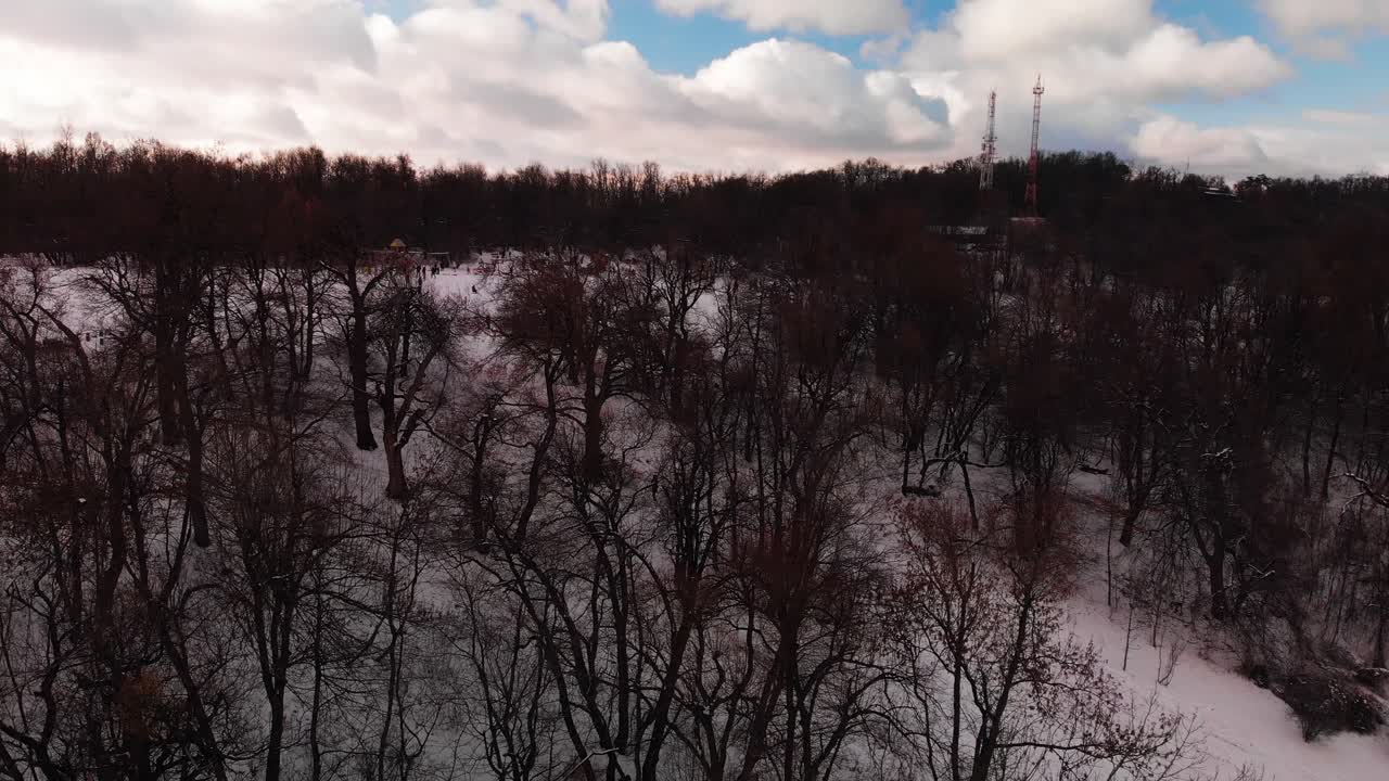 Panoramica verticale aerea realizzata in una bella e limpida giornata invernale vicino a un bosco suggestivo su una collina innevata in Europa