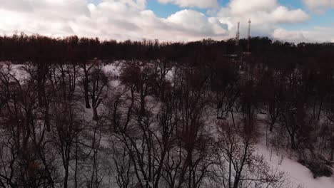 aerial vertical pan made on a beautiful and clear winter day near a scenery forest on a snowy hill in europe